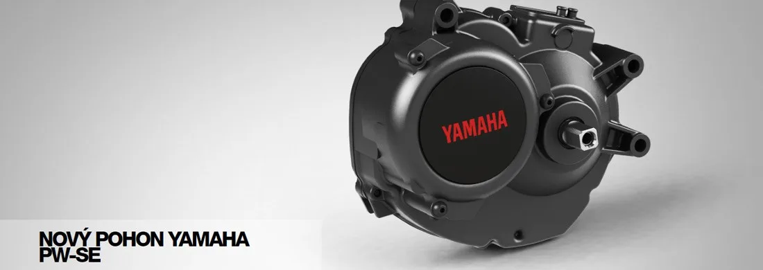 Motor Yamaha PW-SE