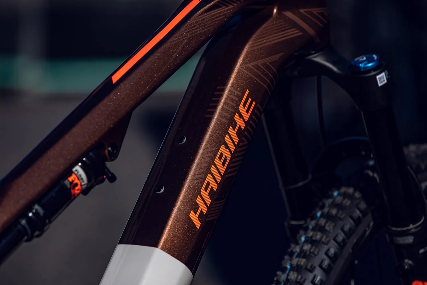 HAIBIKE LYKE CF 10 2023