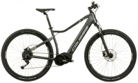 CRUSSIS ONE-CROSS 7.9-M 2024