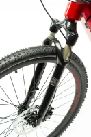 CRUSSIS E-CROSS LOW 9.9-M 2024