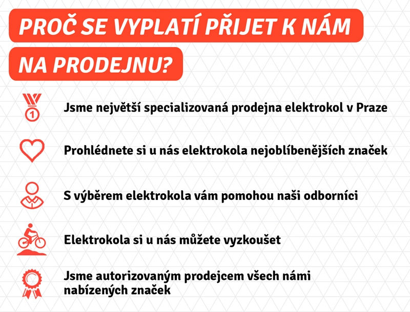 CRUSSIS E-RACE PRO 2025