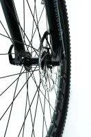 CRUSSIS ONE-FULL 9.9-M 2024