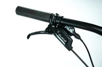 CRUSSIS E-ATLAND 10.9-M 2024