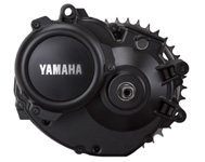 Motor Yamaha PW